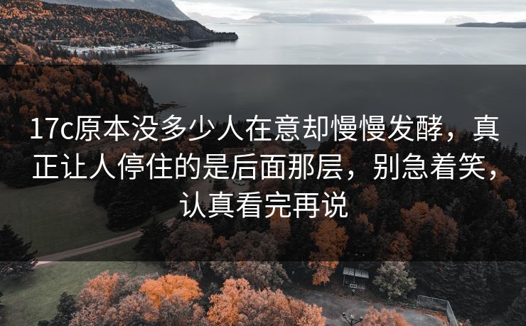 17c原本没多少人在意却慢慢发酵，真正让人停住的是后面那层，别急着笑，认真看完再说