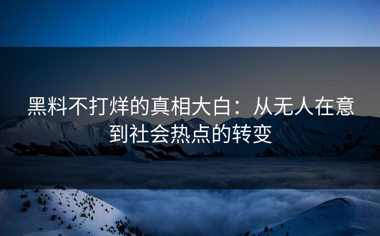 黑料不打烊的真相大白：从无人在意到社会热点的转变