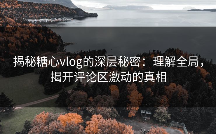 揭秘糖心vlog的深层秘密：理解全局，揭开评论区激动的真相