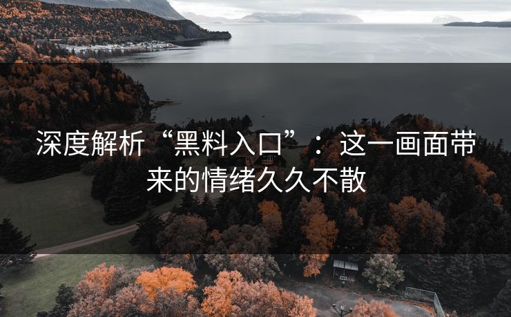 深度解析“黑料入口”：这一画面带来的情绪久久不散
