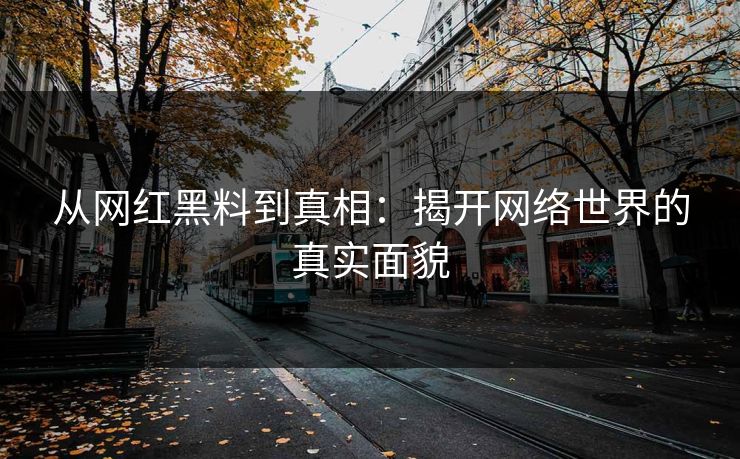 从网红黑料到真相：揭开网络世界的真实面貌  第1张