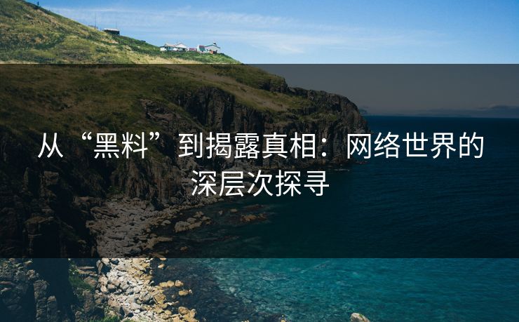 从“黑料”到揭露真相：网络世界的深层次探寻  第1张
