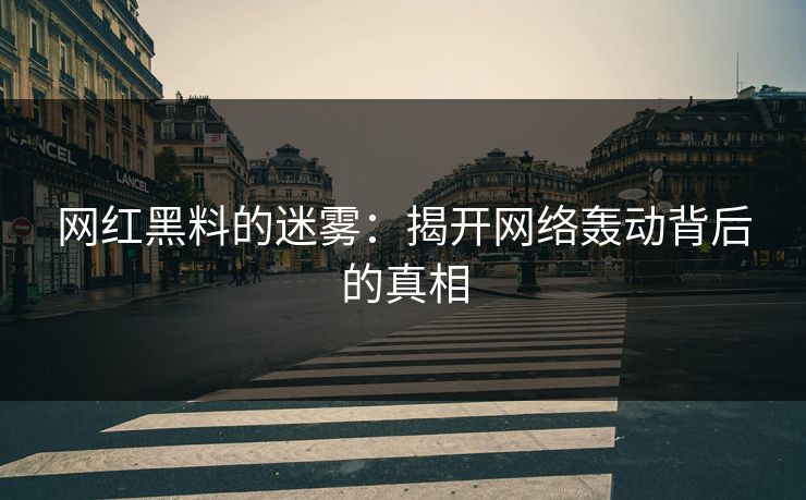 网红黑料的迷雾：揭开网络轰动背后的真相