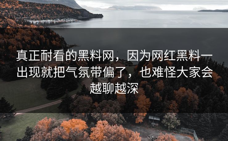 真正耐看的黑料网，因为网红黑料一出现就把气氛带偏了，也难怪大家会越聊越深
