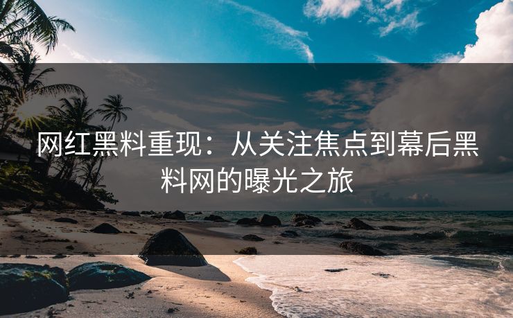 网红黑料重现:从关注焦点到幕后黑料网的曝光之旅 第1张 网红黑料重现:从关注焦点到幕后黑料网的曝光之旅 第1张